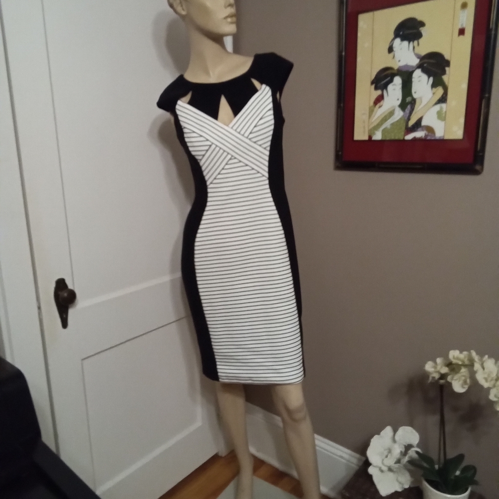 Joseph Ribkoff Hourglass Dress